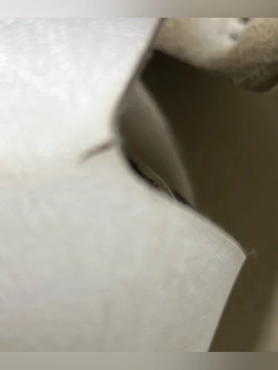 Birkenstock Arizona Double Strap White Leather Sandals Women's Sz 40 US SZ 9-9.5 - Picture 4 of 5